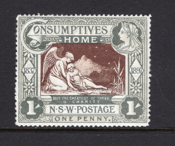 AUSTRALIAN STATES - NEW SOUTH WALES - 1897 - CHARITY ISSUE: 1d + 1/- green & brown 'Consumptive Homes' QV Diamond Jubilee and Hospital Charity issue, a fine mint copy. (SG 280)  (AUS/41561)