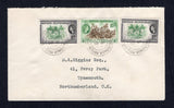 BRITISH HONDURAS - 1957 - CANCELLATION: Cover franked with 1953 2 x 1c green & black and 4c brown & green QE2 issue (SG 179 & 182) tied by three fine strikes of CALEDONIA cds dated 30 OCT 1957. Addressed to UK with indistinct BELIZE transit cds on reverse.  (BRH/36457)