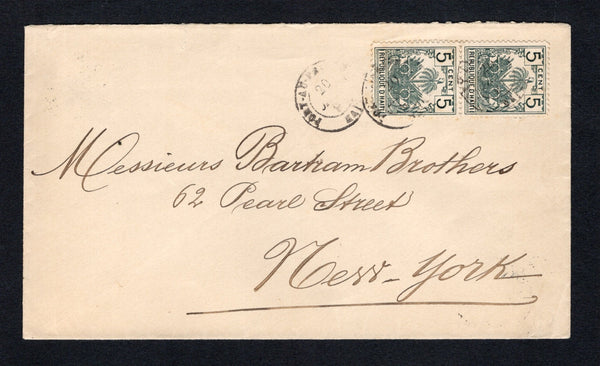 HAITI - 1897 - PALMS ISSUE: Cover franked with pair 1896 5c grey green 'Drooping Palms' issue (SG 44) tied by PORT-AU-PRINCE cds's dated 20 JANV 1897. Addressed to USA with transit & arrival cds's on reverse.  (HAI43882)