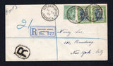JAMAICA - 1932 - CANCELLATION & REGISTRATION: Registered cover franked with 1921 ½d green and pair 2d indigo & green GV issue (SG 92 & 97) tied by multiple fine strikes of GOLDEN GROVE cds dated SEP 23 1932 with printed blue on white 'GOLDEN GROVE JAMAICA' registration label and large 'R' in oval marking in black alongside. Addressed to USA with transit & arrival marks on reverse.  (JAM44425)