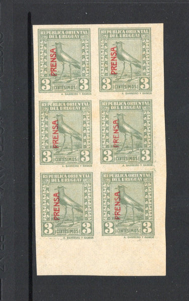 URUGUAY - 1926 - NEWSPAPER ISSUES: 3c sage green 'PRENSA' overprint on 'Chilean Lapwing' NEWSPAPER issue a fine mint corner block of six, imperf. (SG N519)  (URU/3415)