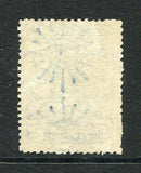 ARGENTINA 1920 DEFINITIVE ISSUE