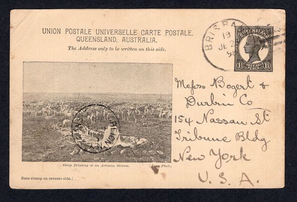AUSTRALIAN STATES - QUEENSLAND - 1898 - POSTAL STATIONERY: 1½d black on buff postal stationery viewcard (H&G 11) with view of 'Sheep Drinking at an Artesian Stream' used with BRISBANE cds. Addressed to USA with arrival cds on front.  (AUS/17727)