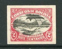 BOLIVIA - 1916 - INVERTED CENTRE & VARIETY: 2c black & rose 'Lake Titicaca' issue a fine unused IMPERF copy with variety CENTRE INVERTED. Underrated stamp. (SG 144b)  (BOL/29027)