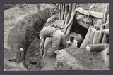 BOLIVIA - 1933 - CHACO WAR: Real photographic black & white PPC of dead soldier in trench with dog beside the body inscribed 'GUERRA DEL CHACO Pena' on picture side and 'Editor y Fotografo LUIS BAZOBERRI G. Casilla 11 Cochabamba (Bolivia) Prohibida la reproduccion' on message side. Fine unused & very scarce.  (BOL/38948)