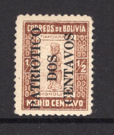 BOLIVIA - 1916 - TAX STAMPS: 2c on ½c brown with PATRIOTICO DOS CENTAVOS overprint in black, issued as a TAX stamp during WW1. A fine mint example. Scarce.  (BOL/3928)
