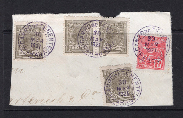 BRAZIL - 1918 - CANCELLATION: 25r olive grey pair & two singles and 1920 100rs rose red 'Industry' issue all tied on large piece by four fine strikes of CAMPO DE TENENTE (PARANA) cds in purple dated 30 MAR 1921. (SG 290 & 309)  (BRA/40707)
