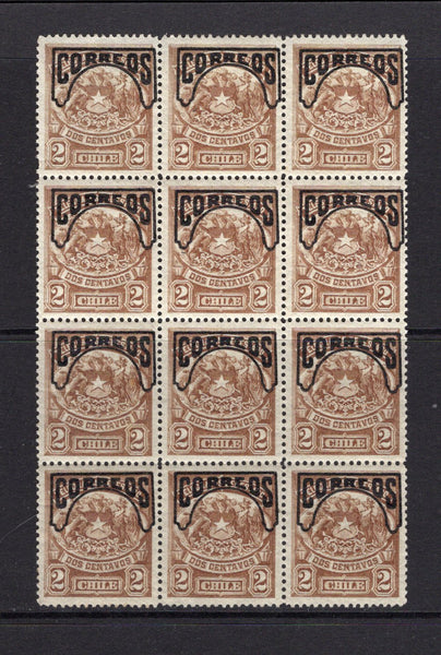 CHILE - 1904 - PROVISIONAL ISSUE & MULTIPLE: 2c pale brown 'Provisional' overprint on Telegraph issue (Huemul with mane & tail). A fine mint block of twelve. A very scarce multiple. (SG 97)  (CHI/32425)