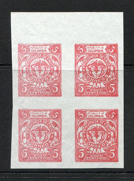 COLOMBIAN STATES - CAUCA - 1905 - CINDERELLA: 5c red BOGUS issue inscribed 'Provincia de Cauca' imperf, a fine unused top marginal block of four.  (COL/33328)