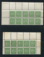 PARAGUAY - 1904 - POSTAGE DUE & MULTIPLE: 2c yellow green, 4c yellow green, 10c yellow green and 20c yellow green 'Postage Due' issue, the set of four in fine mint blocks of ten comprising the top two rows of the sheet. (SG D106/D109)  (PAR/27000)